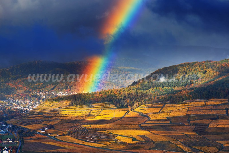 Arc-en-ciel sur Guebwiller