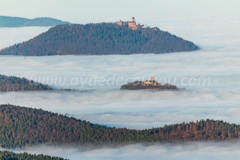 Haut-Ribeaupierre Vs Haut-Koenigsbourg