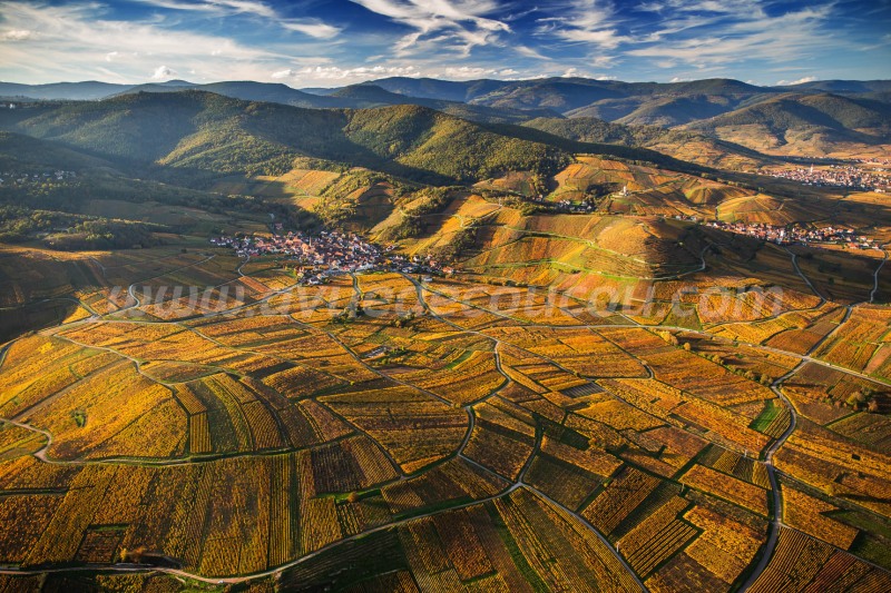 Niedermorschwihr, Route des Vins d'Alsace