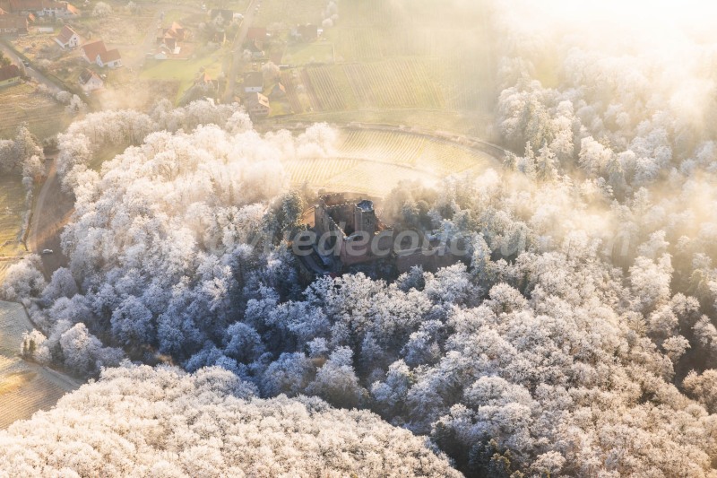 Volerie des Aigles