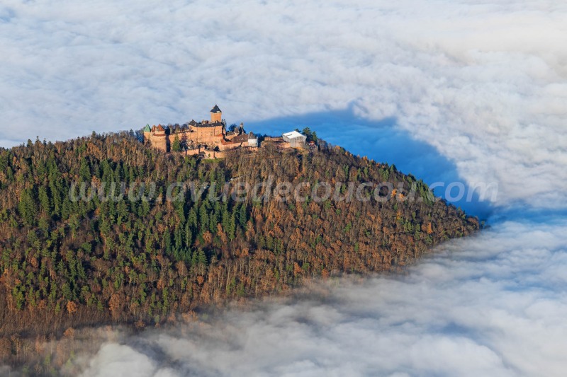 Mer de nuages au Haut-Koenigsbourg