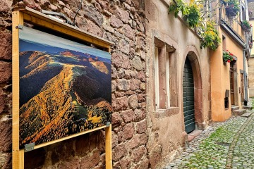 Biennale d'Alsace 2025 à Riquewihr
