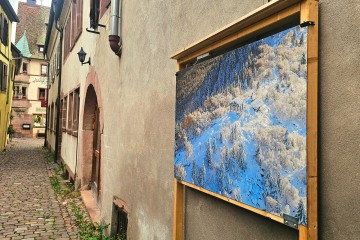 Biennale d'Alsace 2025 à Riquewihr