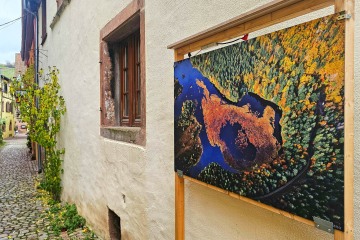 Biennale d'Alsace 2025 à Riquewihr