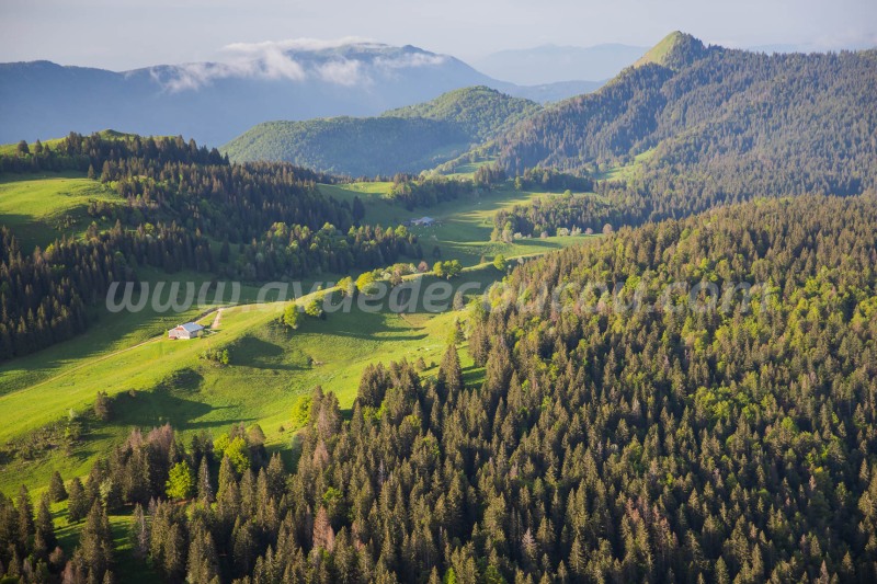 Haut-Jura