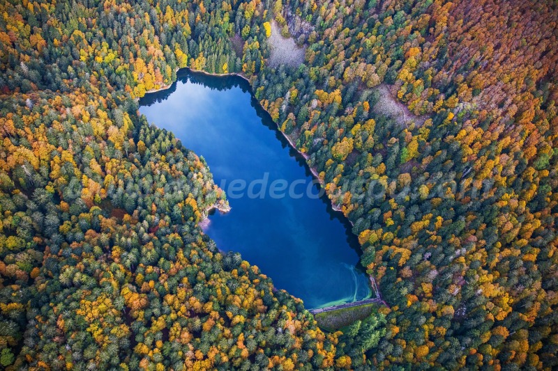 Lac d'Altenweiher