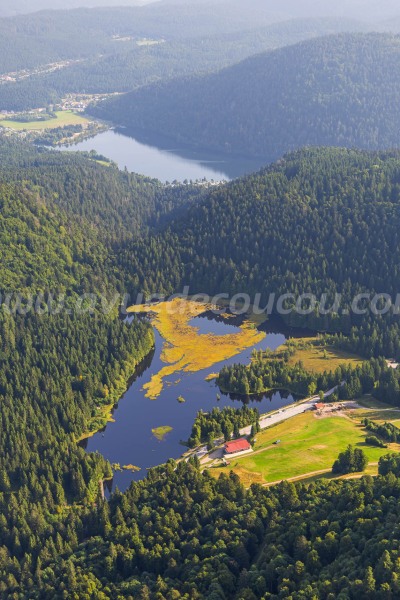 Tourbière de Lispach