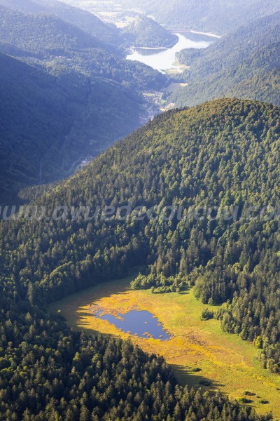 Tourbière de Machais