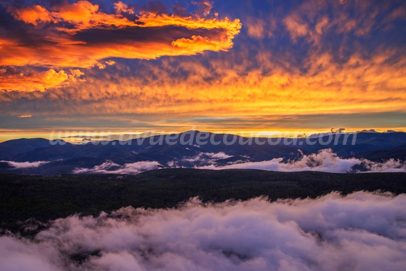Couchant sur le Massif des Vosges