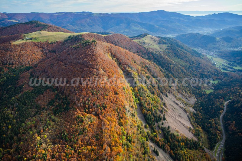 Sources de la Moselle