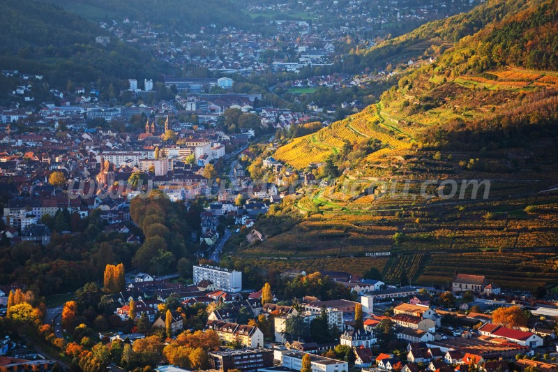 Domaine Schlumberger, Guebwiller
