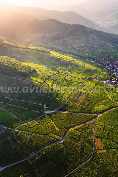 Vignoble de Ammerschwihr