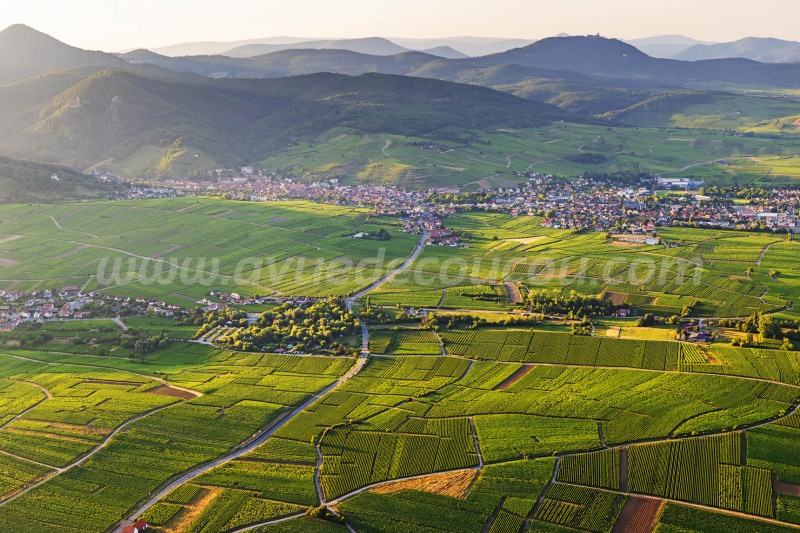 De Hunawihr à Ribeauvillé