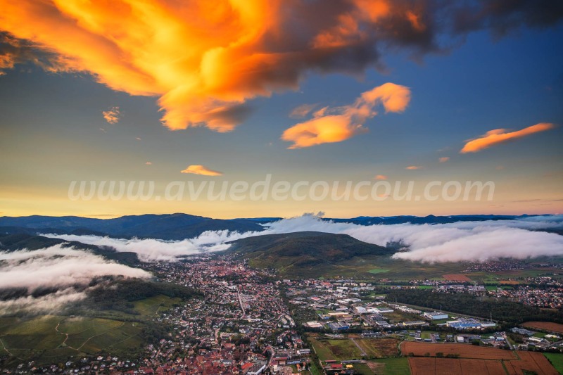 Couchant sur Guebwiller