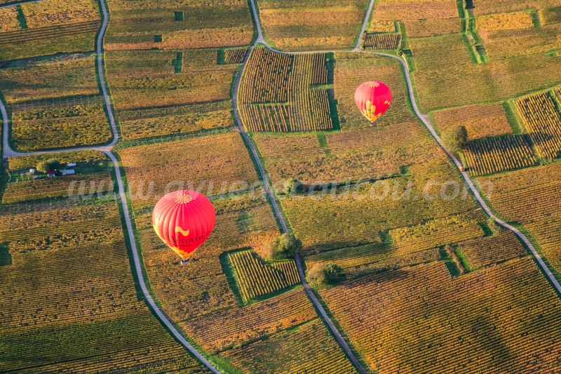 Ballons-secteur-Katzenthal