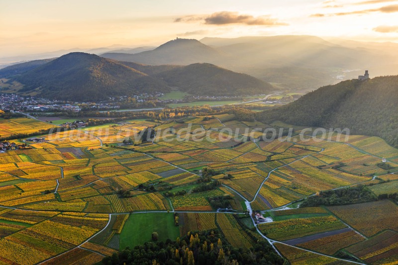 Couchant à l'Ortenbourg