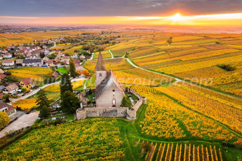 Levant d'automne à Hunawihr