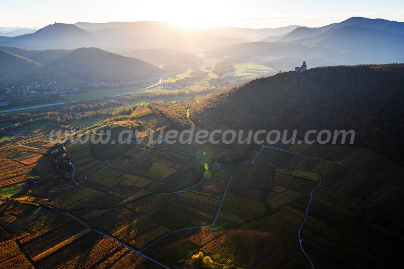 Couchant sur l'Ortenbourg