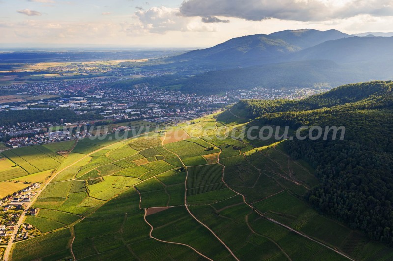 Domaines Schlumberger