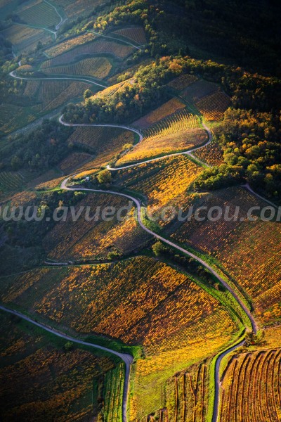 Vignoble de Niedermorschwihr