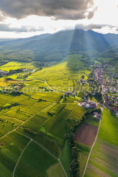 Vignoble de Wuenheim